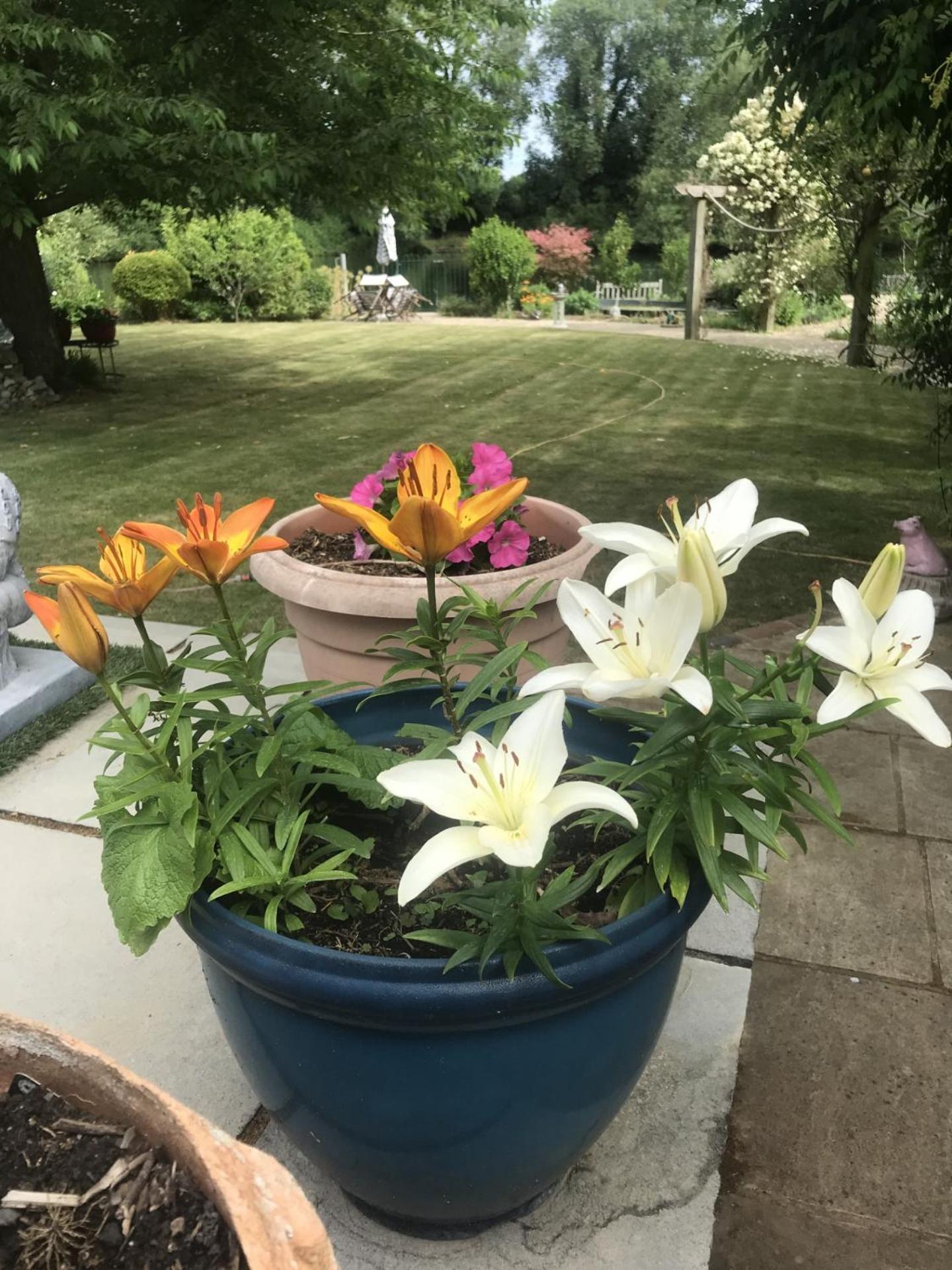 Cozy Double Bedroom In Stunning Bungalow On River Thames - Near Thorpe Park/Royal Holloway University/20Mins From Heathrow Staines-upon-Thames Eksteriør billede